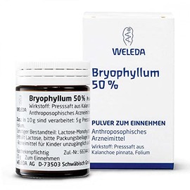 BRYOPHYLLUM 50% Oral Powder 50 g