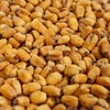 Smarty Stop Fried Roasted Salted Corn Nuts Snacks (3 Pound