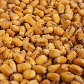 Smarty Stop Fried Roasted Salted Corn Nuts Snacks (3 Pound (Pack of 1))