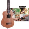 21 Inch Wooden Acoustic Ukulele Ukelele Uke Sapele Wood