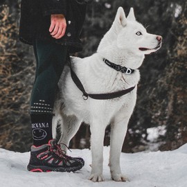 JIPIMON Martingale Dog Collar Reflective Nylon Soft Cushion with Alloy Buckle Dog Collar Martingale Small Medium and Large Dogs (Medium, Orange)