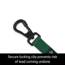 Snootiful Hound Secure Locking Dog Lead with Padded Handle - Carabiner Dog Leash - Anti Theft (Green, 200cm)