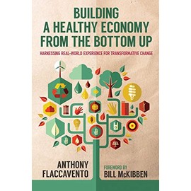Building a Healthy Economy from the Bottom Up Harnessing Real World Experience for Transformative Change