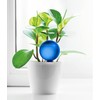 Plantpal Pack of 2 Large Watering Globes. Intelligent system allows