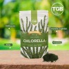 Alga Chlorella 100 Pura Orgánica En Polvo 100 Gr