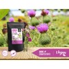 Milk Thistle Extract, 80% Silymarin, 120 Capsules 450 mg, No