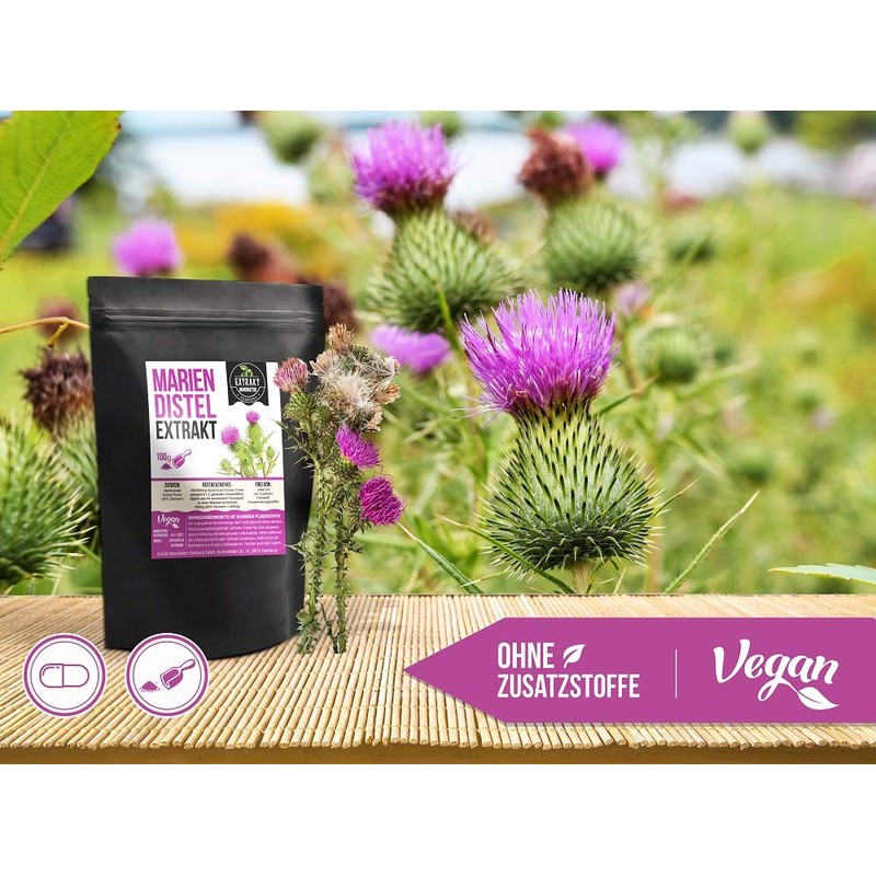 Milk Thistle Extract, 80% Silymarin, 120 Capsules 450 mg, No