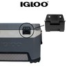 Igloo Hinge for 25, 52, 72 Qt BMX Coolers, Plastic,