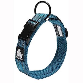 WINHYEPET True Love Dog Collar Reflective Sandwich lining Nylon Webbing Comfortable and Safe Adjustable Buckle convenient used for walking for Samll/Medium/Large neck ring TLC5011(Blue,S)