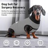 Queenmore Recovery Suit for Dogs Cats After Surgery,Dog Surgical Recovery