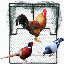 DSQSTMR Pigeon Bird Trap 2 Pack Trapping Chicken Quail Spring Starling Catching Net Traps