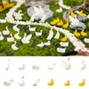 Chuxin Mini Resin Animals to Hide, 36pcs Tiny Ducks Fairy