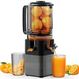 5.8" Juicer Machines, Masticating Juicer with 99% Juice Yield,Cold Press Juicer for Whole Vegetables & Fruits, Juice Extractor Machines,Slow Juicer with Hidden Buckle,Easy assemble，clean,Grey.