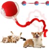 FYNDORS Interactive Rolling Cat Dog Ball, Upgraded Self Moving Toy,