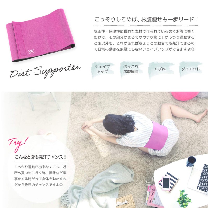 ALINCO WBN223 Diet Supporter
