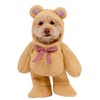 Walking Teddy Bear Pet Suit