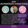 Kit 3 Frascos De Quemador Reductor Grasa Abdominal Absculpt