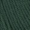 Wendy with Wool Aran 20% Wool 400g Pine (Green) 5519