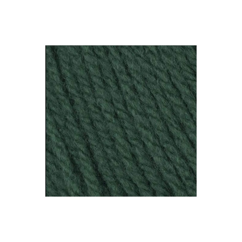 Wendy with Wool Aran 20% Wool 400g Pine (Green) 5519