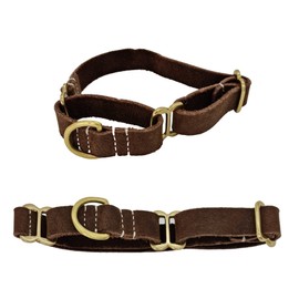 Blazing Paws Vibrania Martingale Slip-On Super Soft Distressed Leather Dog Collar for Medium Size Dogs, 0.75 Inches Wide in Colorful Vintage Shades (M: Neck Size 12-14 Inches, Brown)