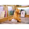 Fat Orange Plush Cat Toy - Soft Stuffed Animal for