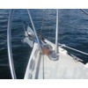 SeaLux Marine 316 Cast Stainless Steel Spring Hinged Oval Deck