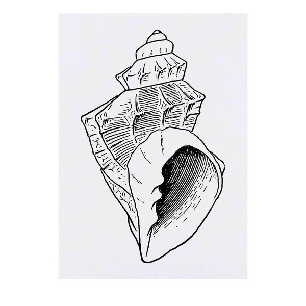 'Beach Seashell' Temporary Tattoo - Water Resistant, Skin-Safe, Non-Toxic Transfer