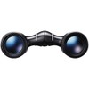 Nikon 16735B Aculon T02 10x21 Binoculars Black (Renewed)