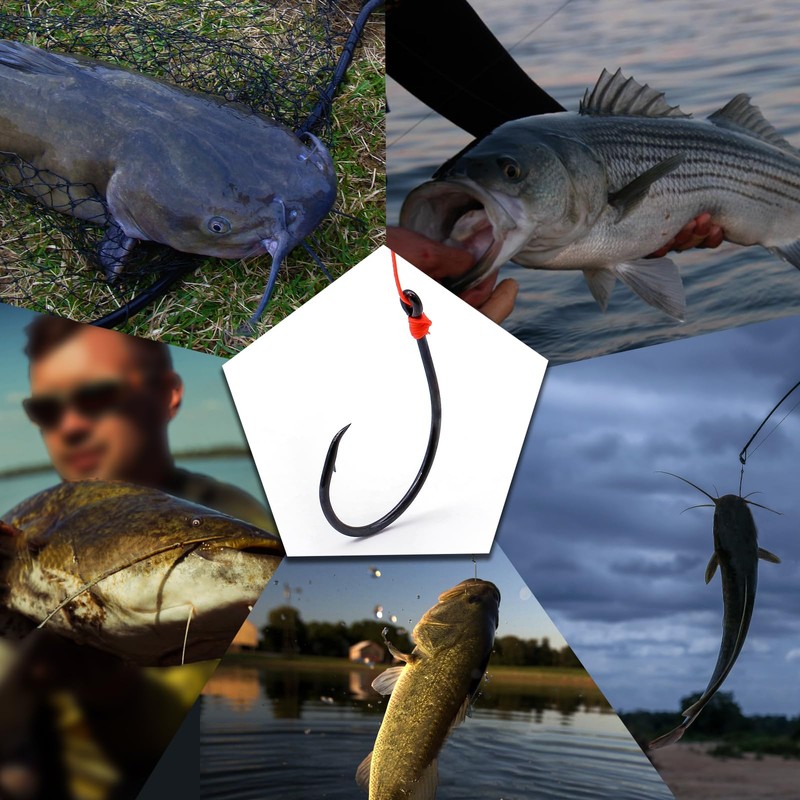 FishTrip Inline Circle Hooks Saltwater - Fishing Catfish Hooks 25pcs