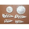 10pc Natural Cerithium Vertagus Seashells, Sliced Cut, 1.5-2 inch, White