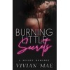 Burning Little Secrets: A Secret Romance