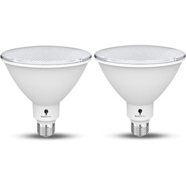 High Power Outdoor PAR38 20W 250 Watt Equivalent 2800 Lumens Dimmable LED Flood Light Bulb Super Bright Waterproof E26 Spotlight Bulbs for Security Backyard Garage (4000K - Cool White, 2 Pack)