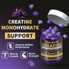 Nutravita- Gomitas de Monohidrato de Creatina para Hombres y Mujeres
