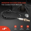 A-Premium - Sensor de oxígeno O2 compatible con modelos Honda