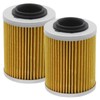 Anxingo 2 Pcs 21040111601 Oil Filter, Replacement for ODES Cartridge