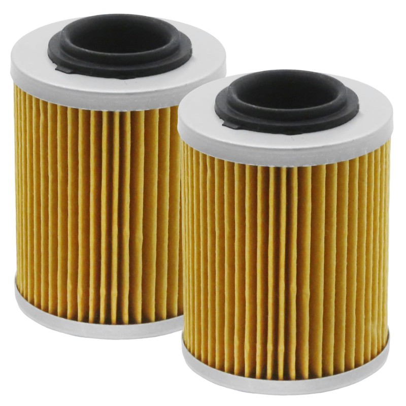 Anxingo 2 Pcs 21040111601 Oil Filter, Replacement for ODES Cartridge
