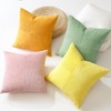 OTOSTAR Set of 1 Decorative Throw Pillow Cover Soft Corduroy