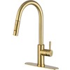 Gold Kitchen Sink Faucet with Pull Down Sprayer, Modern Single