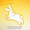 LIGICKY Japanese Doorway Curtain Noren Cute Rabbit Under Moon Home