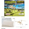 Puzzled Pteranodon 3D Woodcraft Jigsaw Construction Puzzle Kit - Wooden