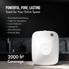 Airversa ANA Smart Waterless Essential Oil Diffuser for Large Room,