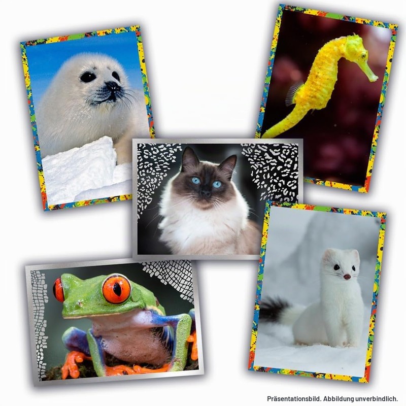 PANINI Animals 2025 Box of 36 Sleeves