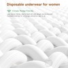 Mesh Postpartum Underwear 10 Counts C-Section Recovery Briefs Carer High