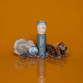 Ode Health Turkey Tail Honey Pearls, 90 Pearls