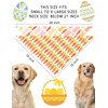 Easter Dog Bandanas 2 Pack, Bunnies Carrots Dog Scarfs for