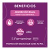 Depend Toallas para Incontinencia Regular, Goteo Moderado, Absorción Dual, 10