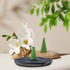 STRN Incense Cones, Citronella Cone Incense, Assorted Scented Incense Cones