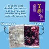 Shampoo Tinte Instantáneo Cubre Canas Natural Jengibre 10p F