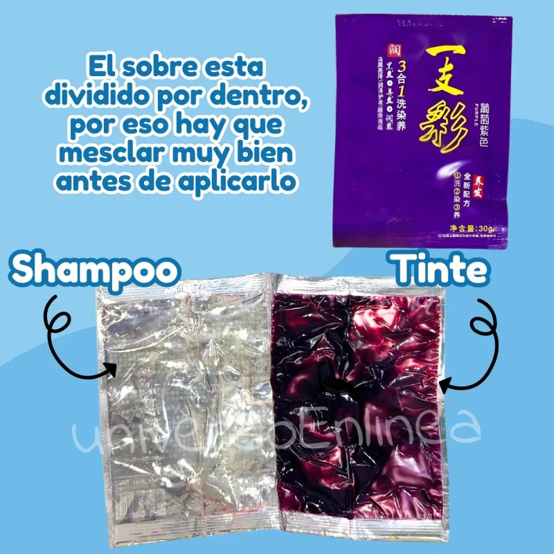 Shampoo Tinte Instantáneo Cubre Canas Natural Jengibre 10p F