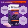 Sambucol Black Elderberry Effervescent Tablets - Elderberry with Zinc and
